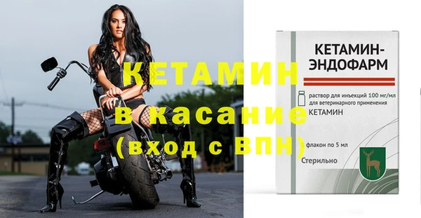 spice Богородицк