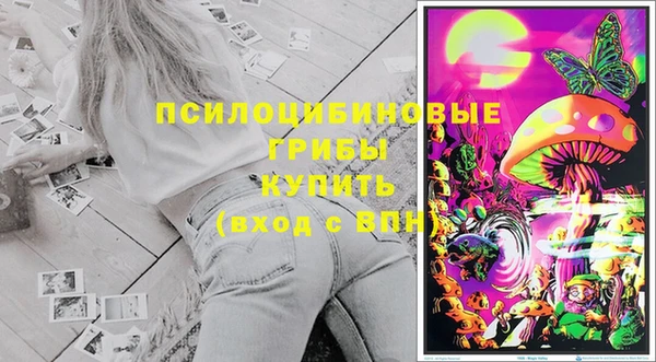 spice Богородицк