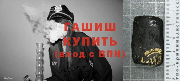 spice Богородицк