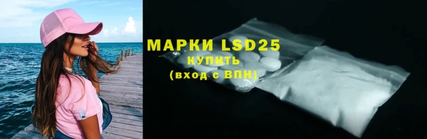 spice Богородицк