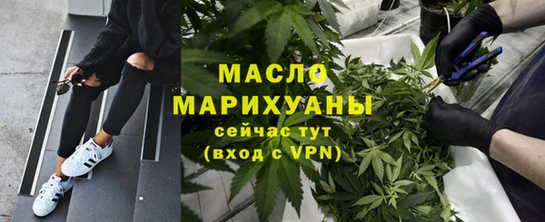 spice Богородицк