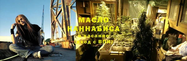 spice Богородицк