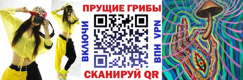 Галлюциногенные грибы мицелий  как найти   kraken зеркало  Камышин 